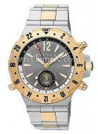 Bvlgari Diagono Professional GMT40C5SGD