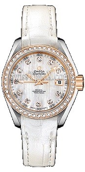 Omega Aqua Terra 150m Ladies 231.28.30.20.55.001