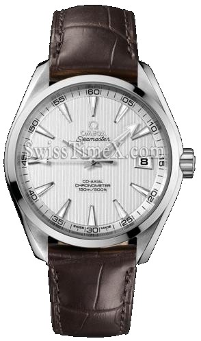 Omega Aqua Terra 231.13.42.21.02.001